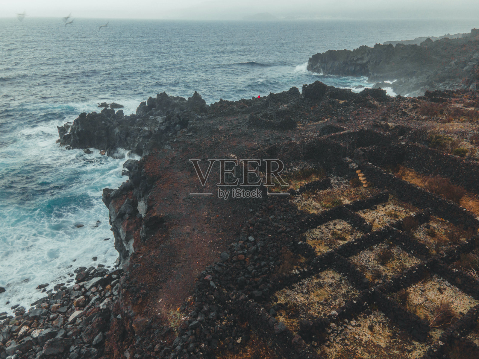 亚速尔群岛皮库岛葡萄园景观无人机航拍视角照片摄影图片