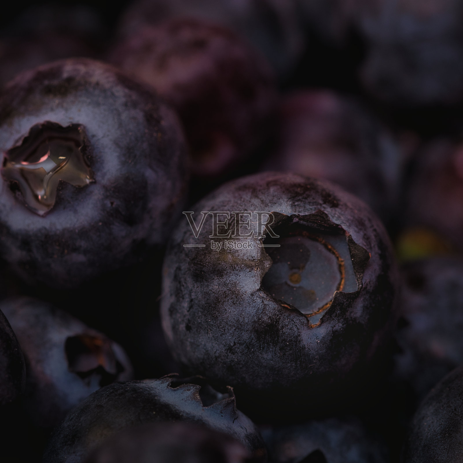 蓝莓照片摄影图片