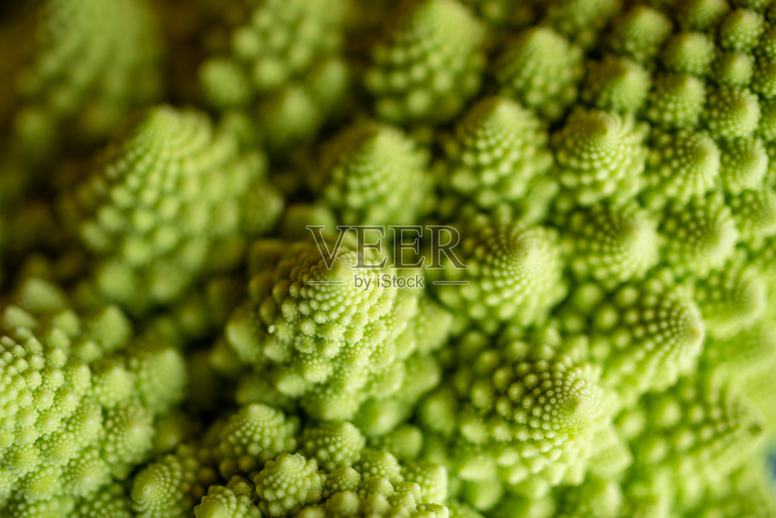 罗马壁画的微距镜头照片摄影图片