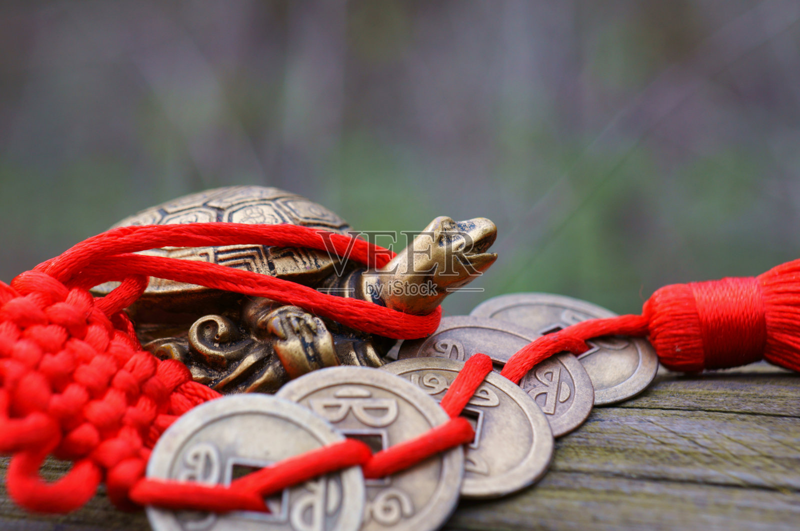 龟俑配风水币。照片摄影图片