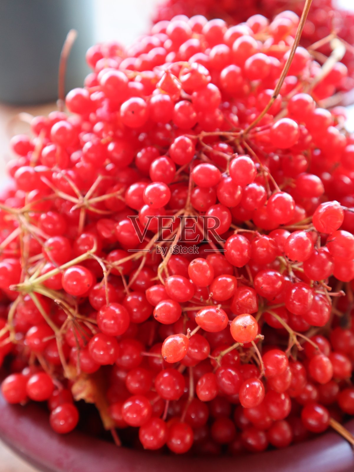 红醋栗照片摄影图片