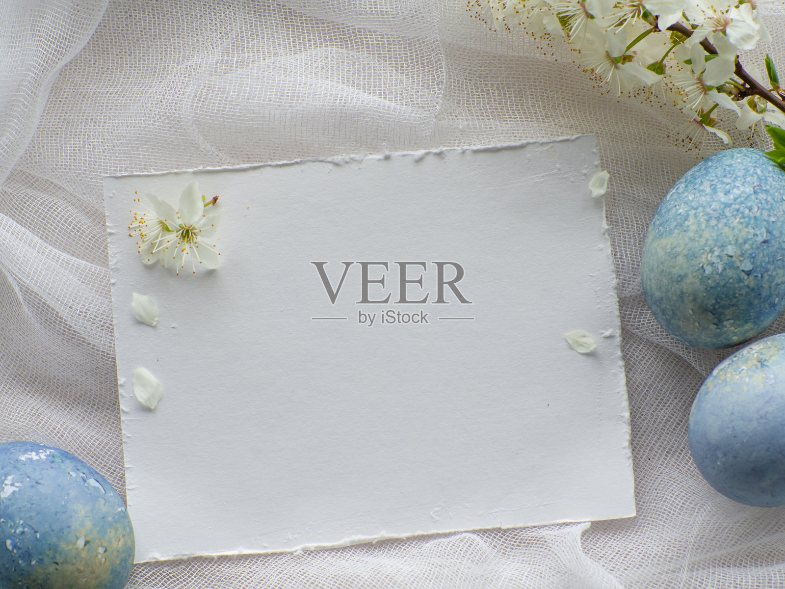 浅蓝色的复活节彩蛋在白色的背景与复制空间照片摄影图片