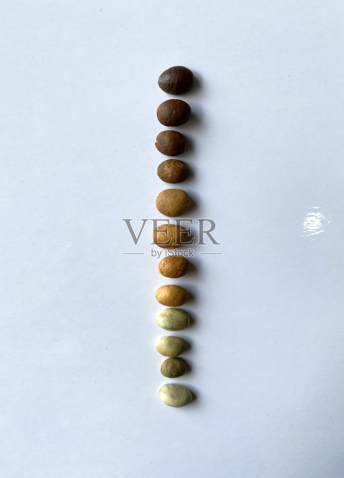 烤照片摄影图片