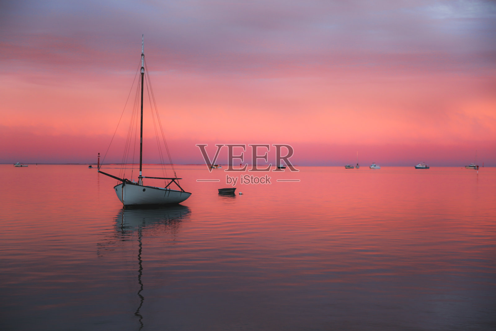 粉红黄昏2照片摄影图片