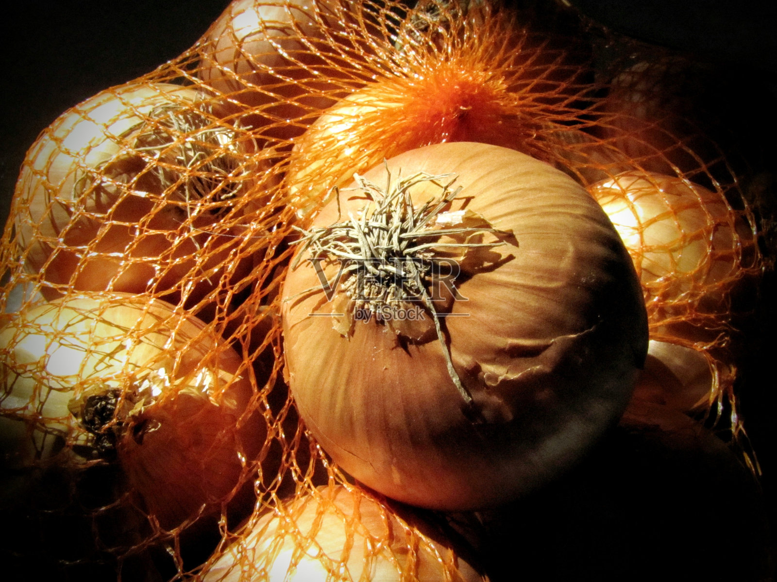 洋葱照片摄影图片