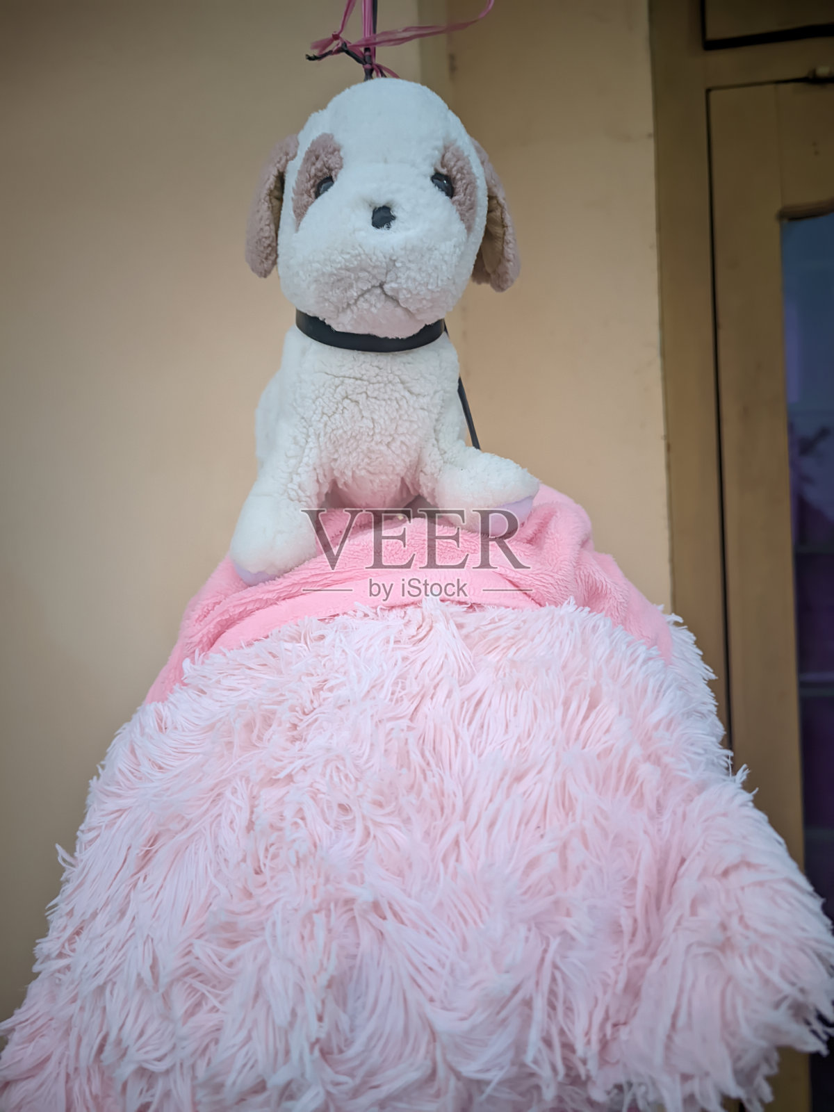 一只粉红色的泰迪熊挂在干衣机上,上面是一只小毛绒狗照片摄影图片