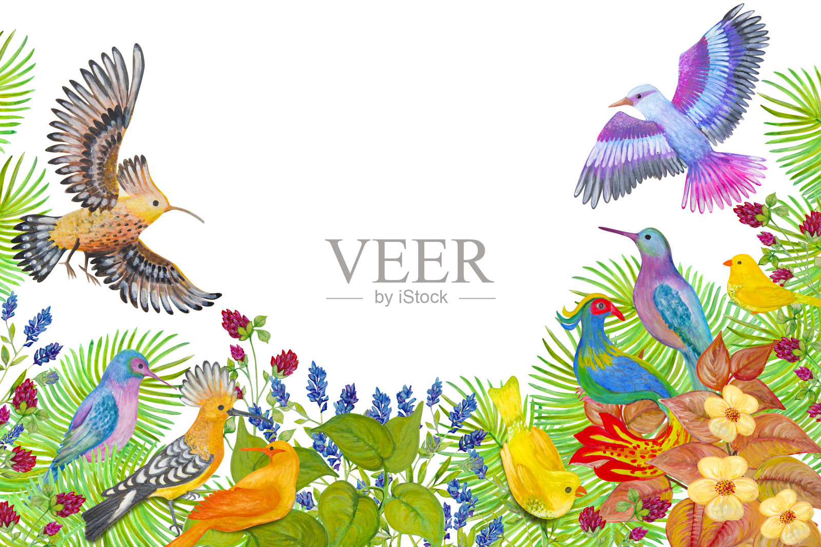 水彩画,描绘各种颜色的鸟在植物和鲜花中孤立在白色的背景。插画图片素材