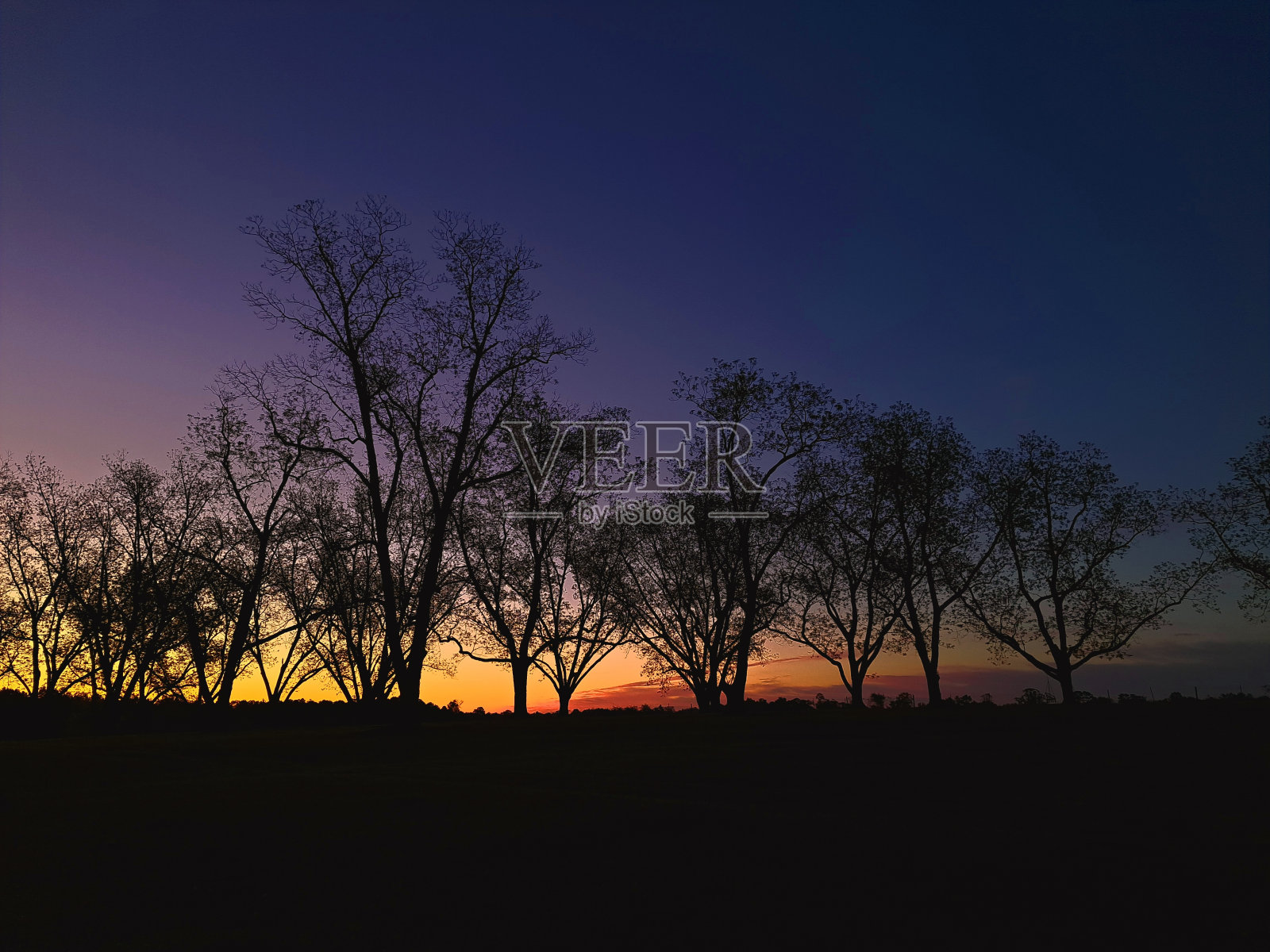 承诺照片摄影图片