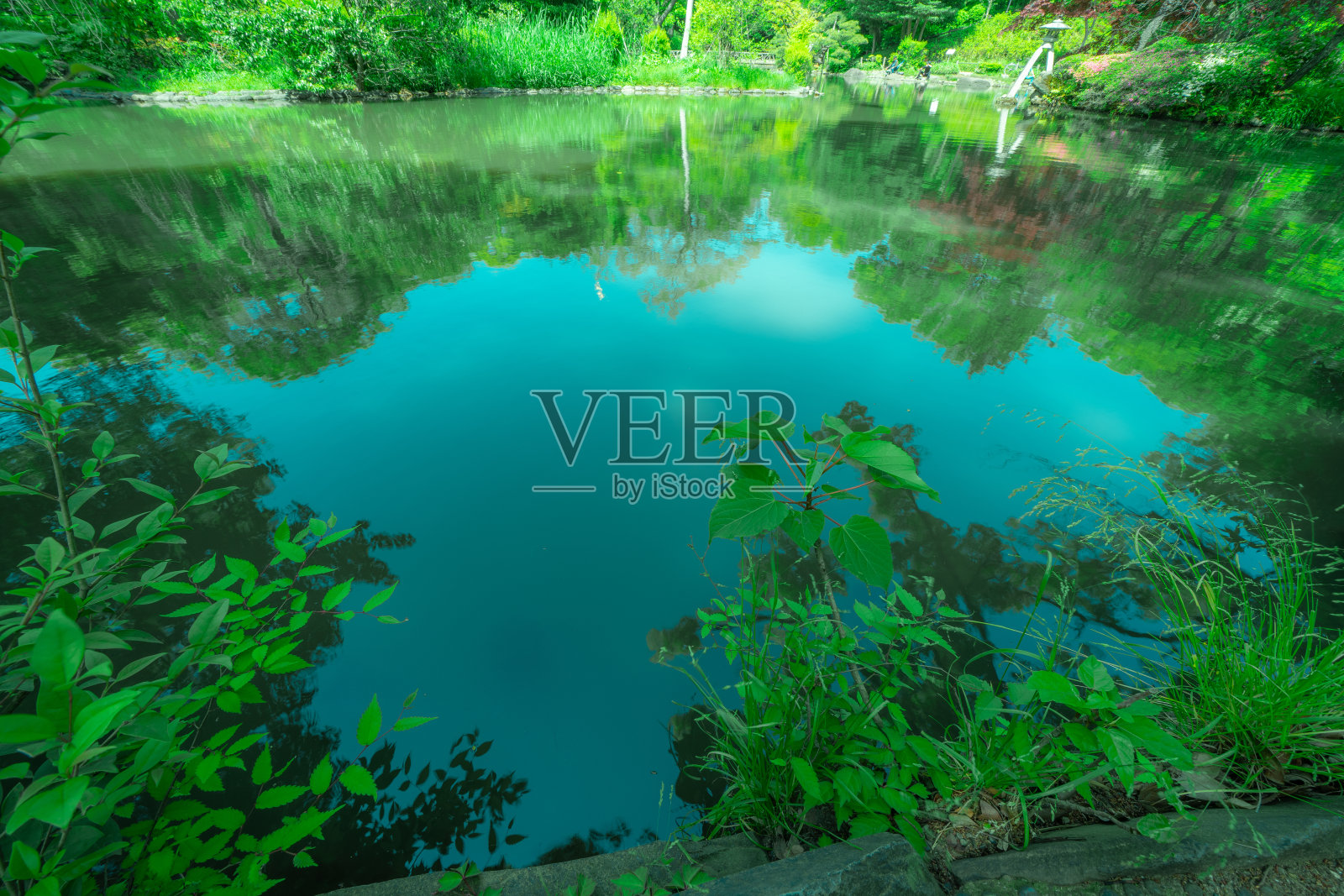 东京公园池塘和天空照片摄影图片