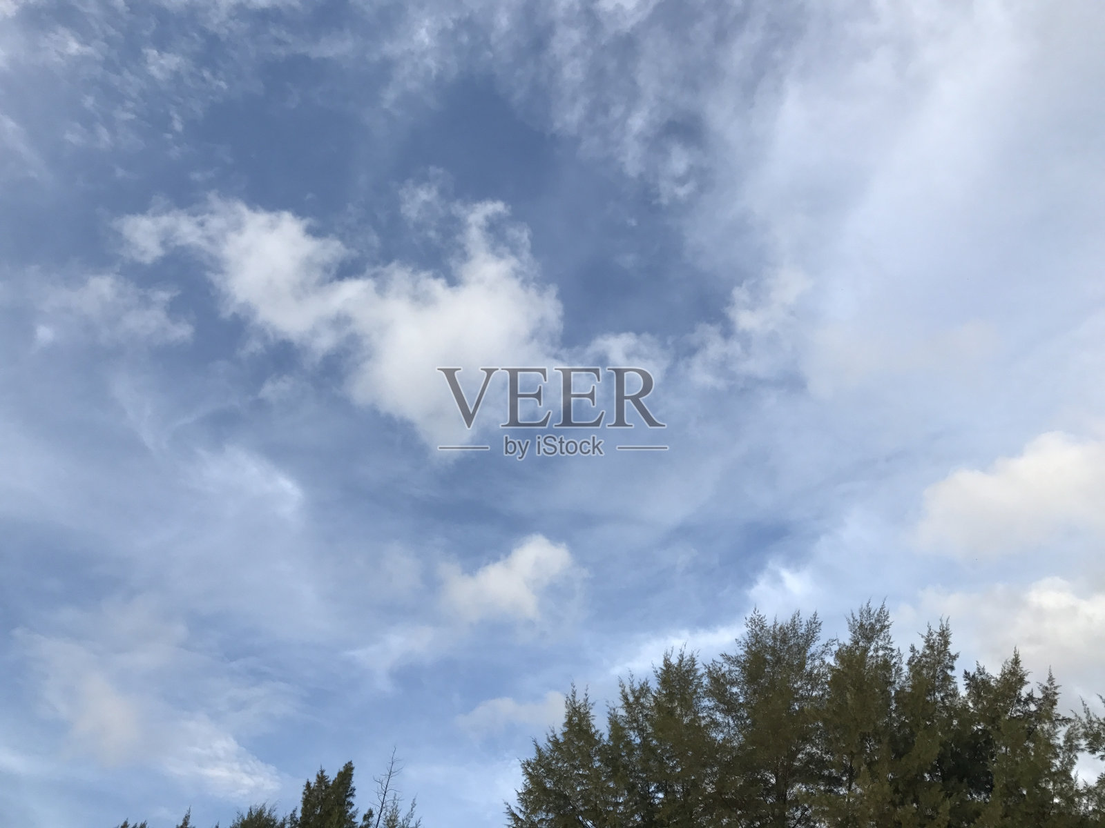 G017照片摄影图片