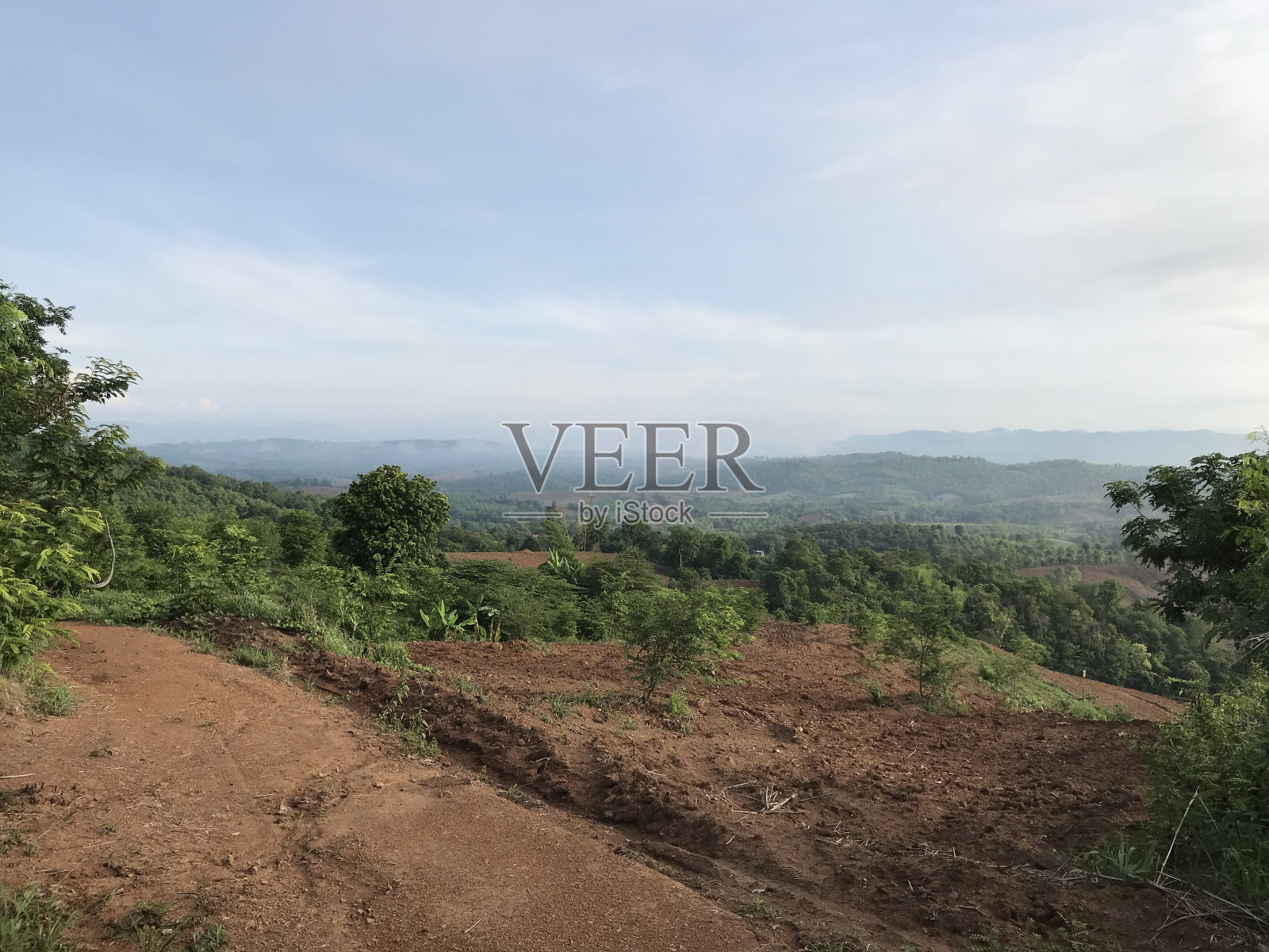 G011照片摄影图片