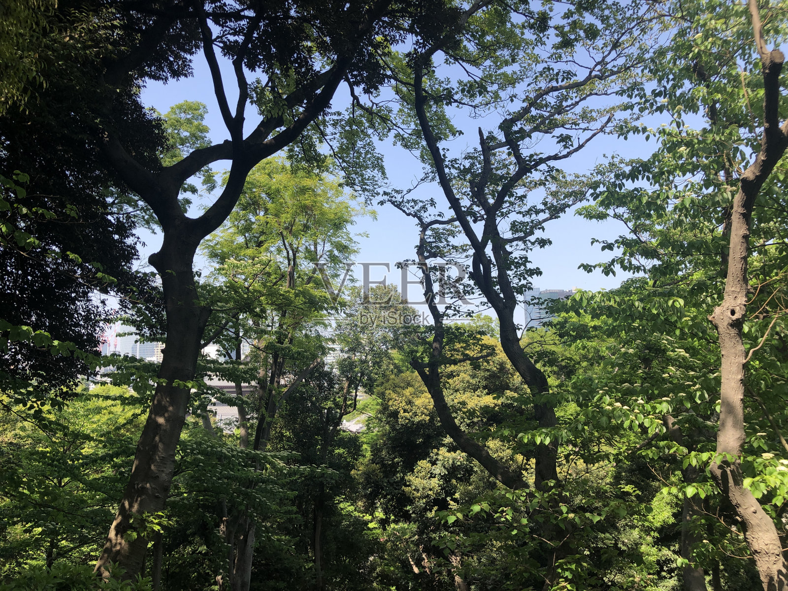 日本风景照片摄影图片