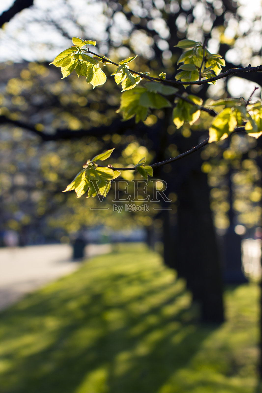 水彩画,抽象春景。照片摄影图片