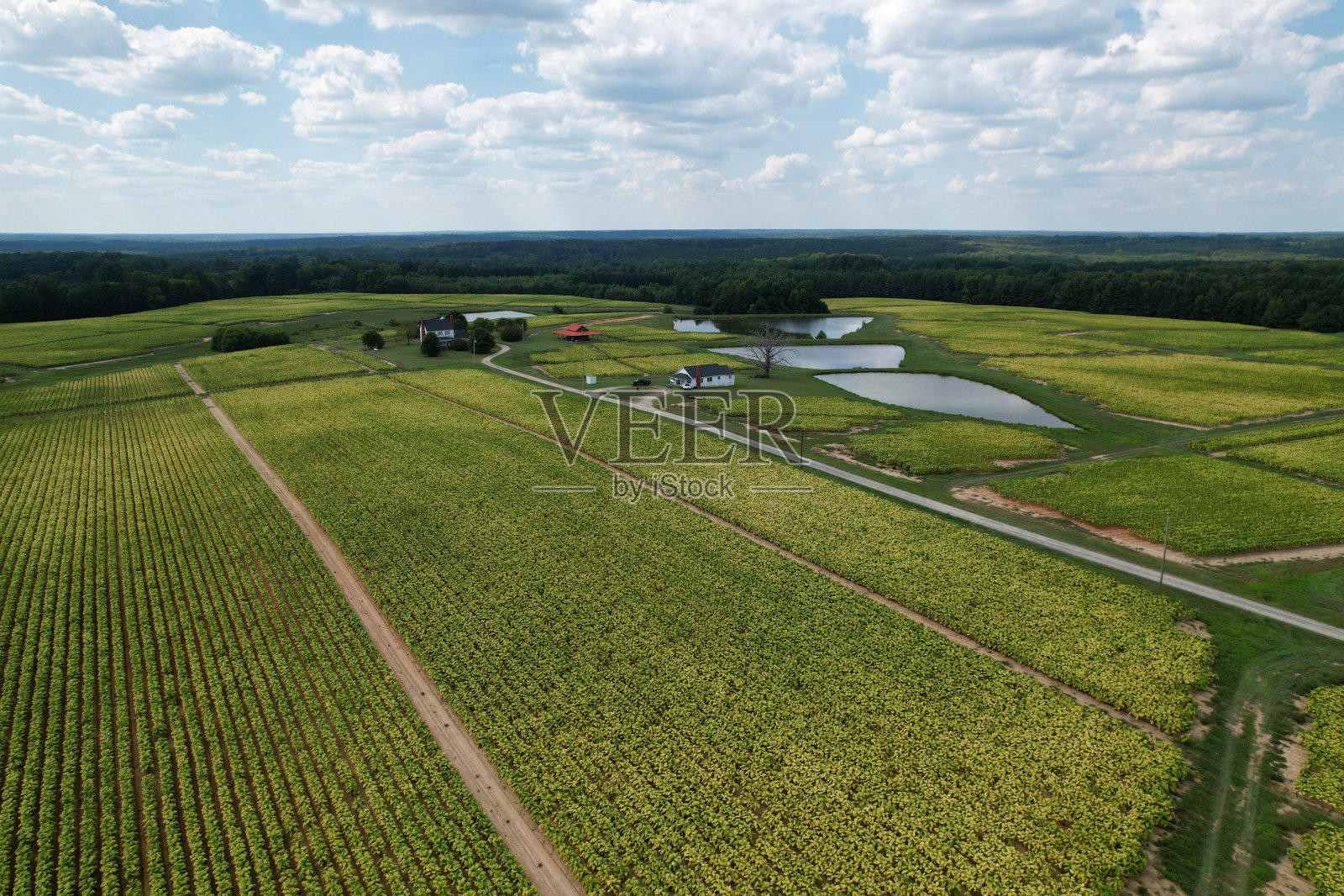 从北卡罗来纳州罗利郊外的农田鸟瞰照片摄影图片