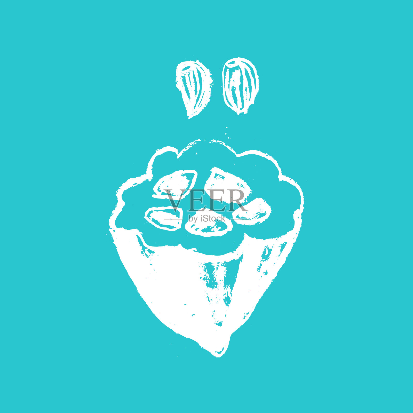 可可豆图标。手绘素描矢量可可豆。分离的可可豆叶子。插画图片素材