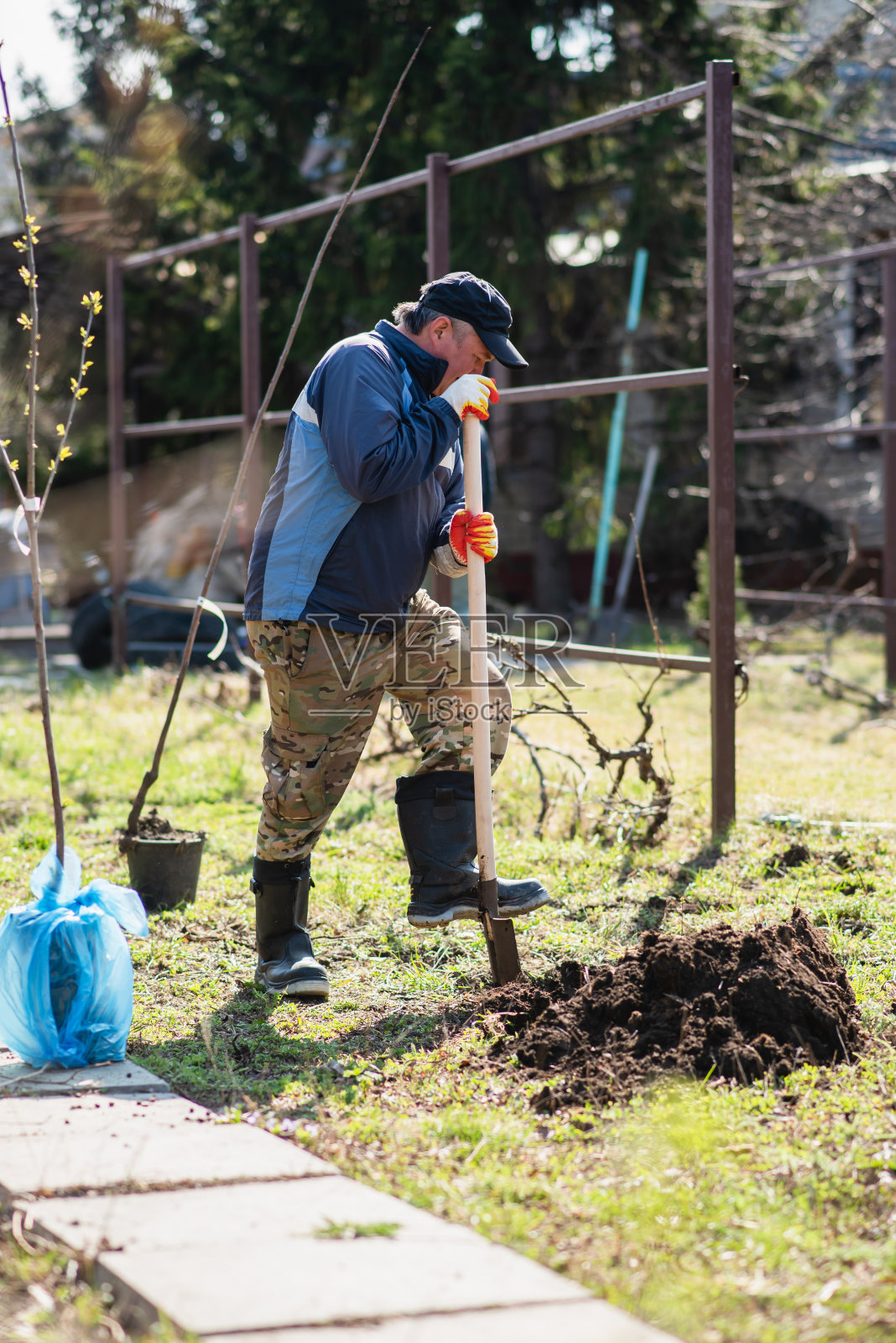 一个男人正在种一棵小树。农民正在用铲子挖土种一棵小幼苗。保护环境和生态的理念照片摄影图片