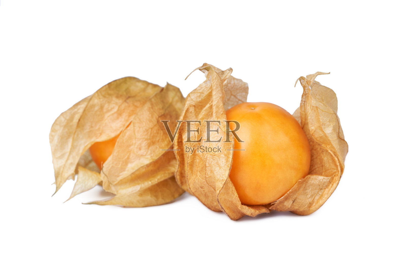 醋栗或physalis浆果分离在白色背景与剪辑路径照片摄影图片