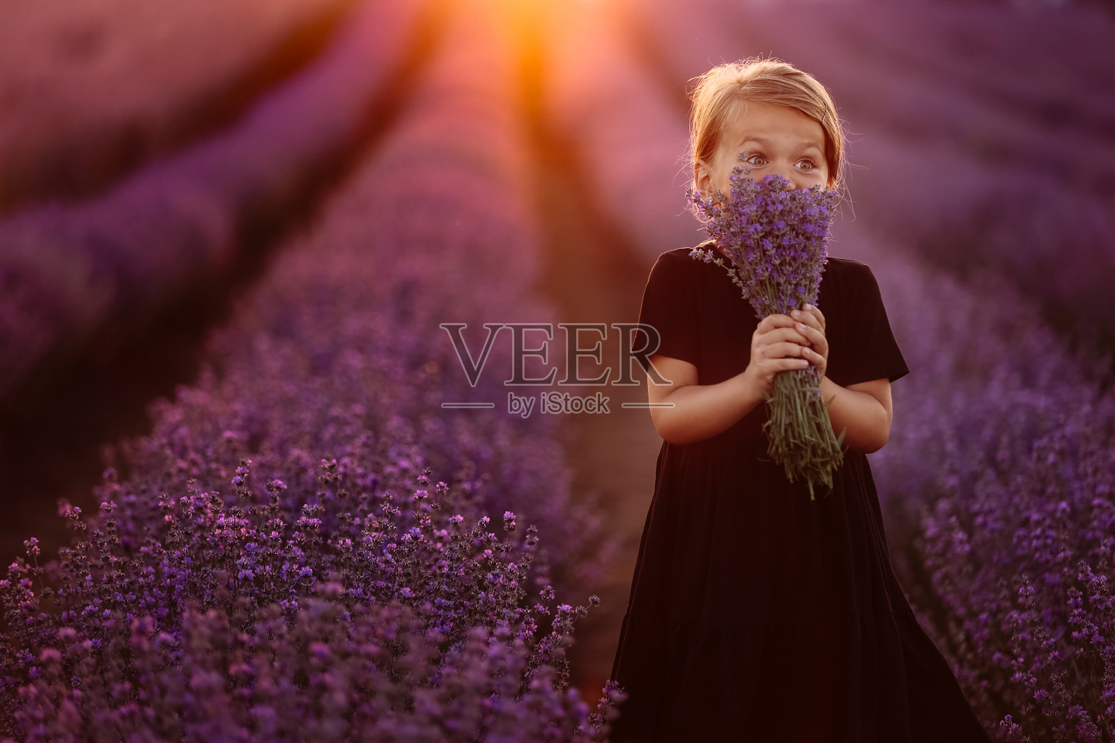 一个可爱女孩的肖像,手里拿着一束薰衣草花。夕阳下,一个孩子走在薰衣草的田野里。暑假里,穿着黑色连衣裙的孩子在大自然中玩耍。照片摄影图片