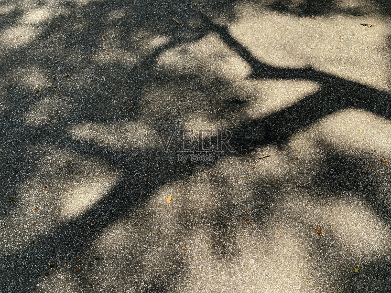 树荫在地上。照片摄影图片