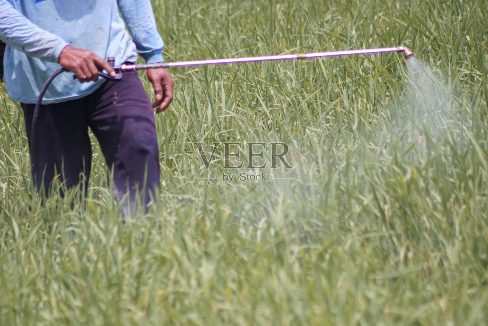 喷洒农药照片摄影图片