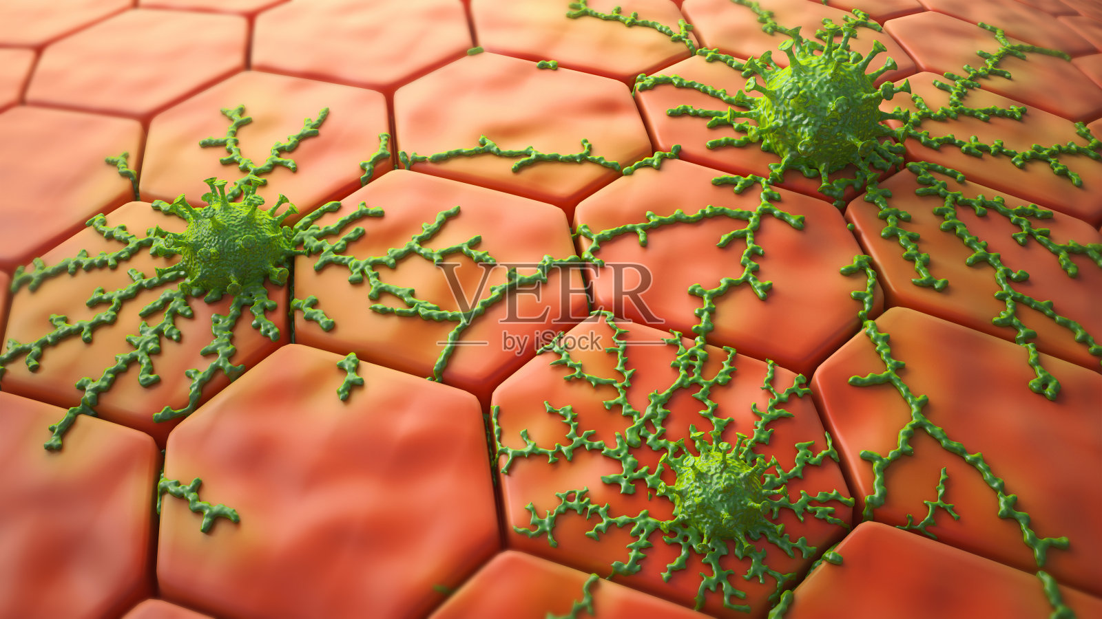 病毒攻击并在人体细胞上生长。癌症侵袭并在人体细胞中生长。感染病毒的细胞。三维渲染照片摄影图片