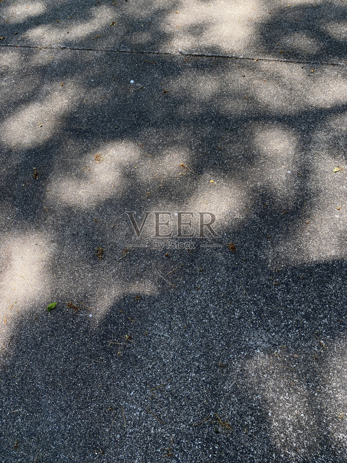 旧水泥地板背景上的树荫。照片摄影图片