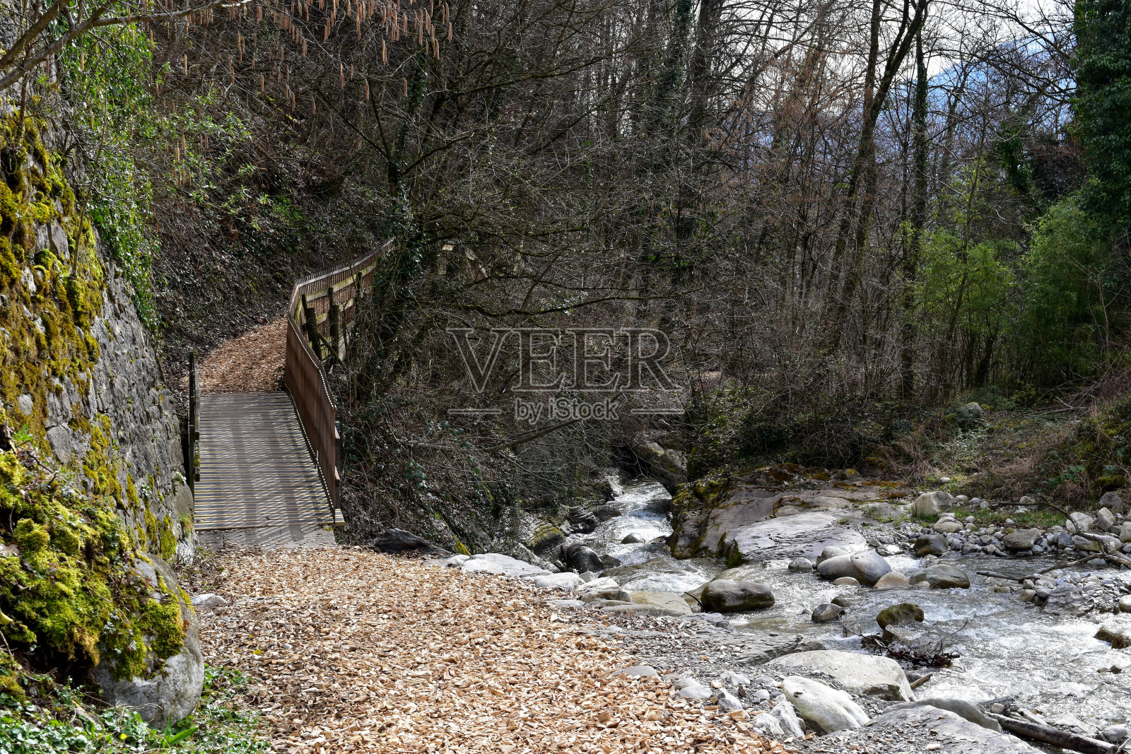 一座连接一条小路和河的竹桥。照片摄影图片