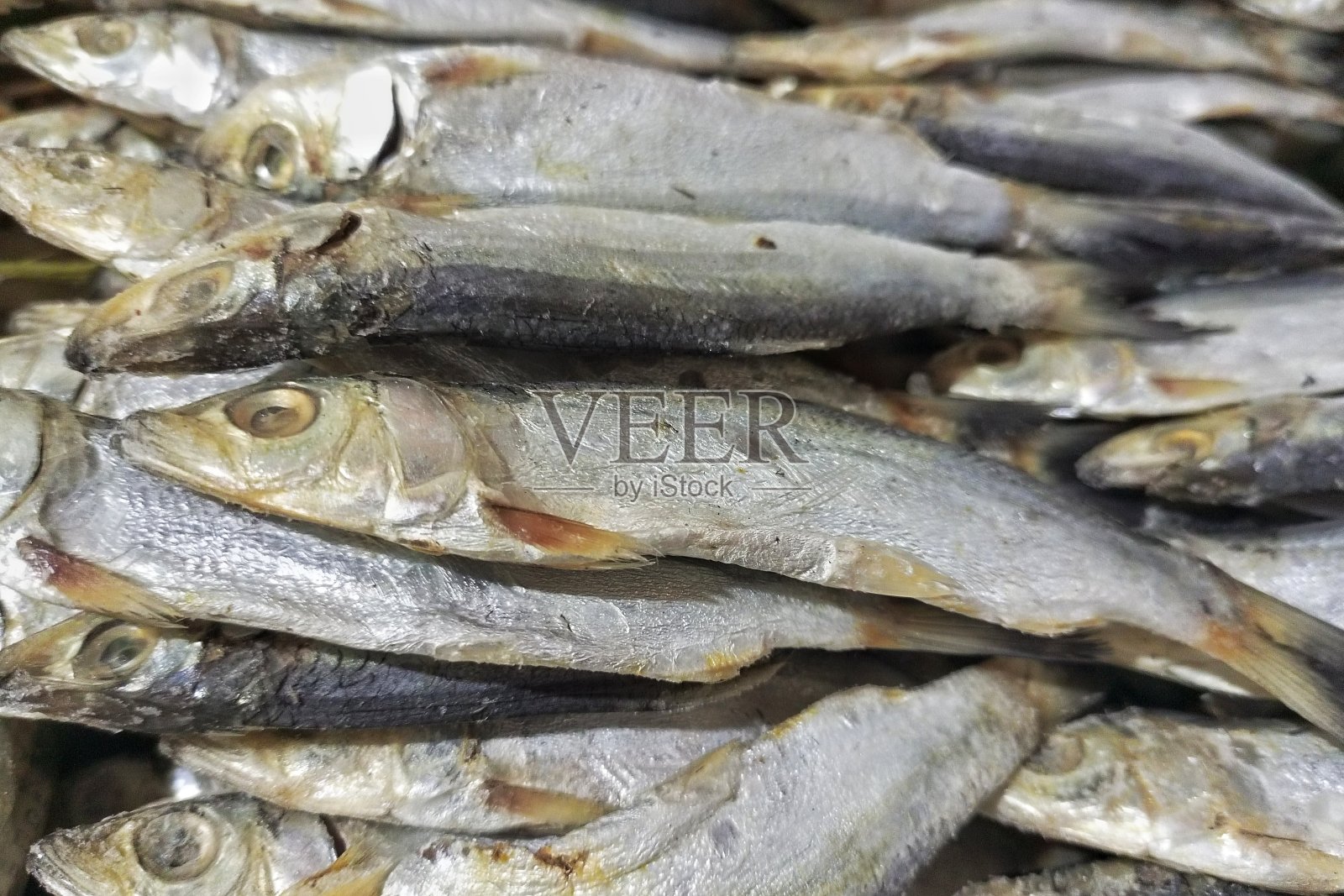 咸鱼照片摄影图片