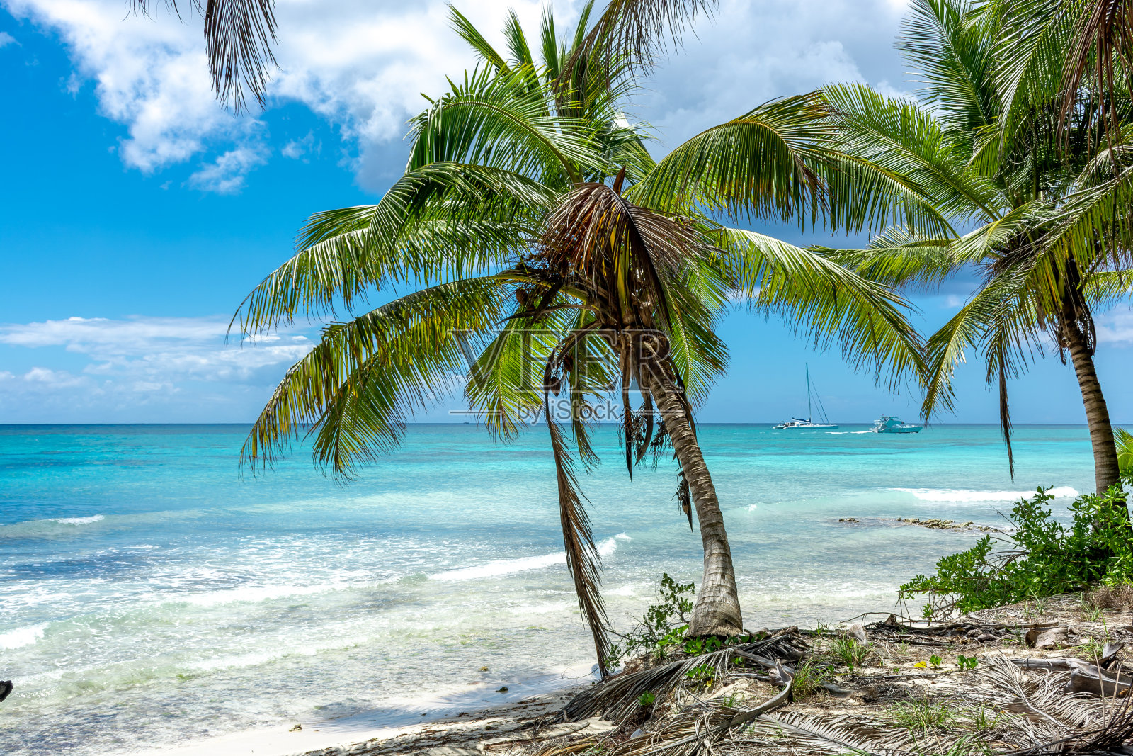 多米尼加共和国,美丽的加勒比海海岸,绿松石般的海水和棕榈树。照片摄影图片