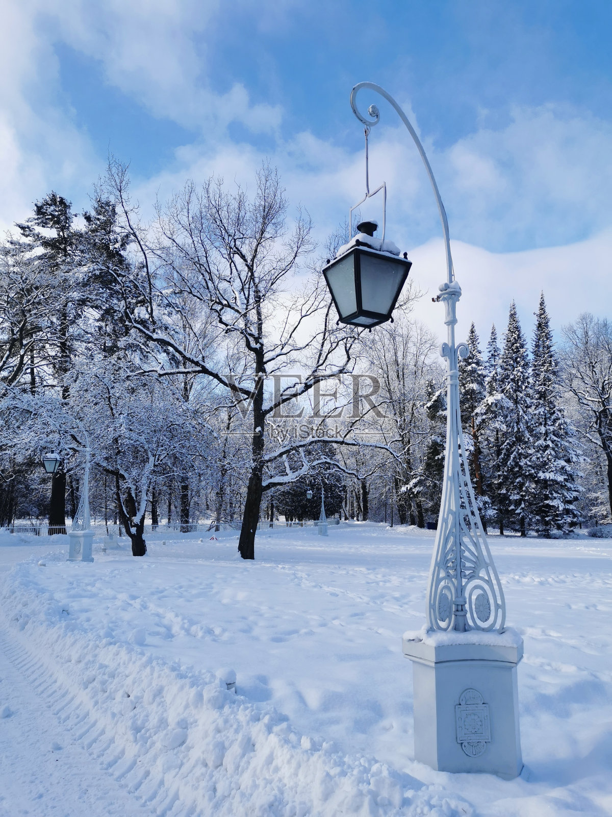 在圣彼得堡的一个城市公园里,一盏美丽的、伪造的路灯映衬着一棵白雪覆盖的树和蓝天白云。照片摄影图片