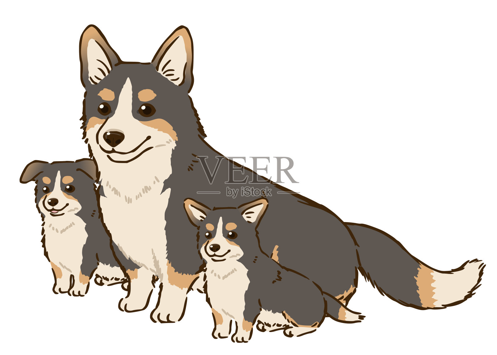威尔士柯基彭布罗克家族(黑色和褐色)插画图片素材