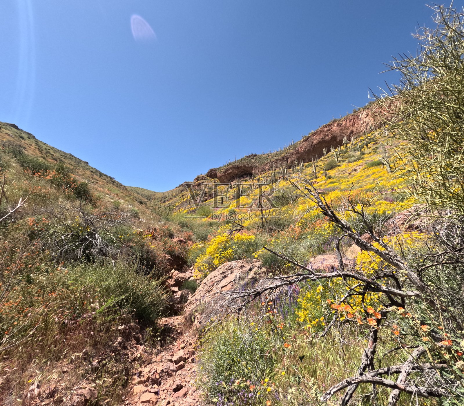 亚利桑那州凤凰城附近的罗斯福湖照片摄影图片