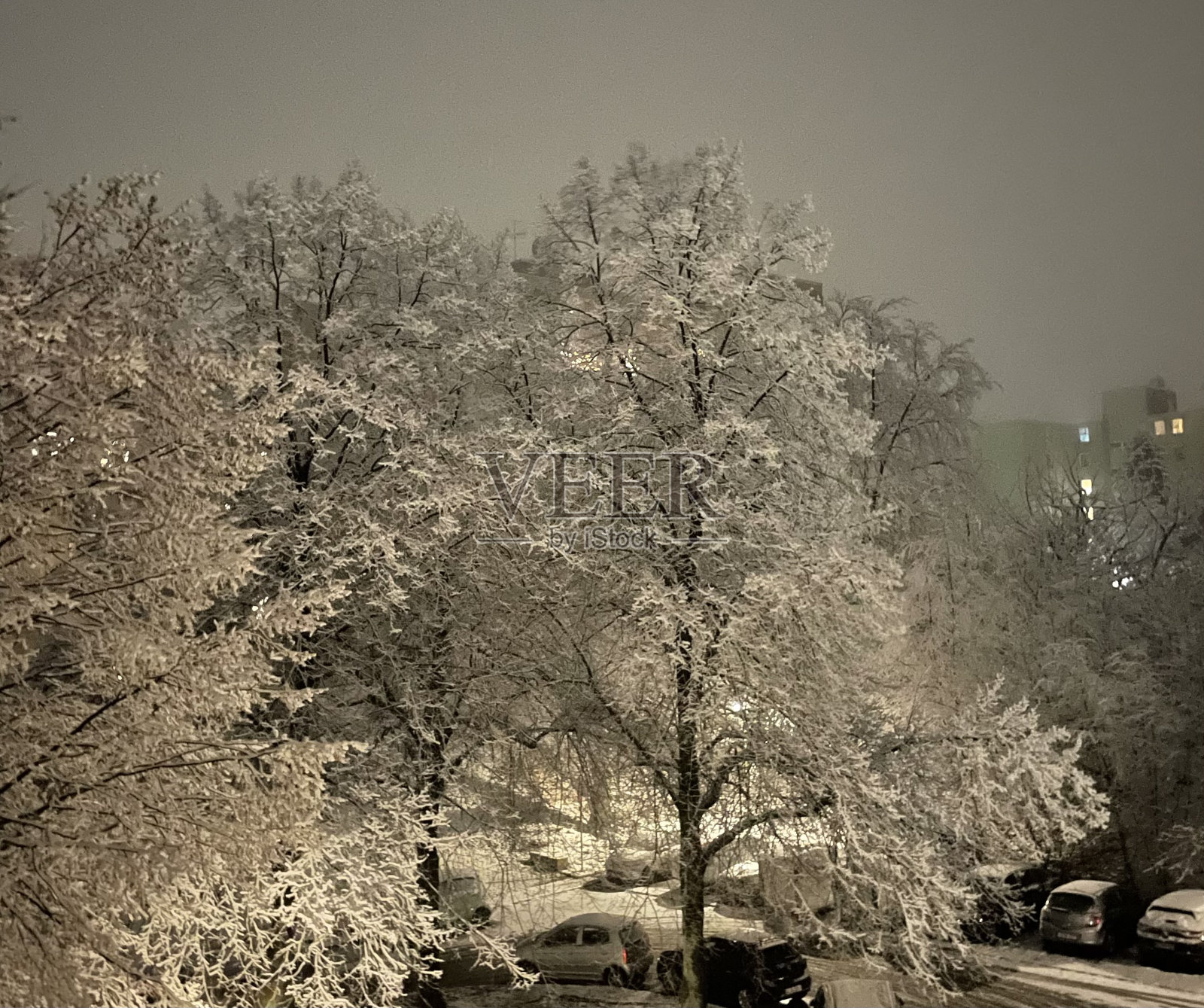 冬天照片摄影图片