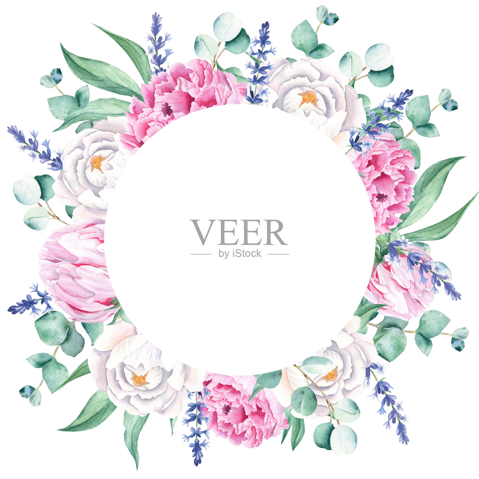 水彩画粉红色和白色的牡丹,桉树枝,薰衣草圈框孤立在白色的背景。手绘植物插图。对于婚礼请柬,保存日期,贺卡,标志,印刷品。插画图片素材