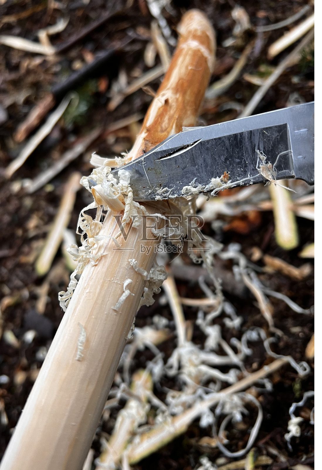 木雕照片摄影图片