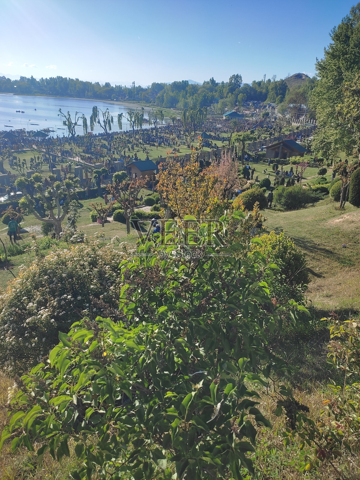 Mansbal照片摄影图片