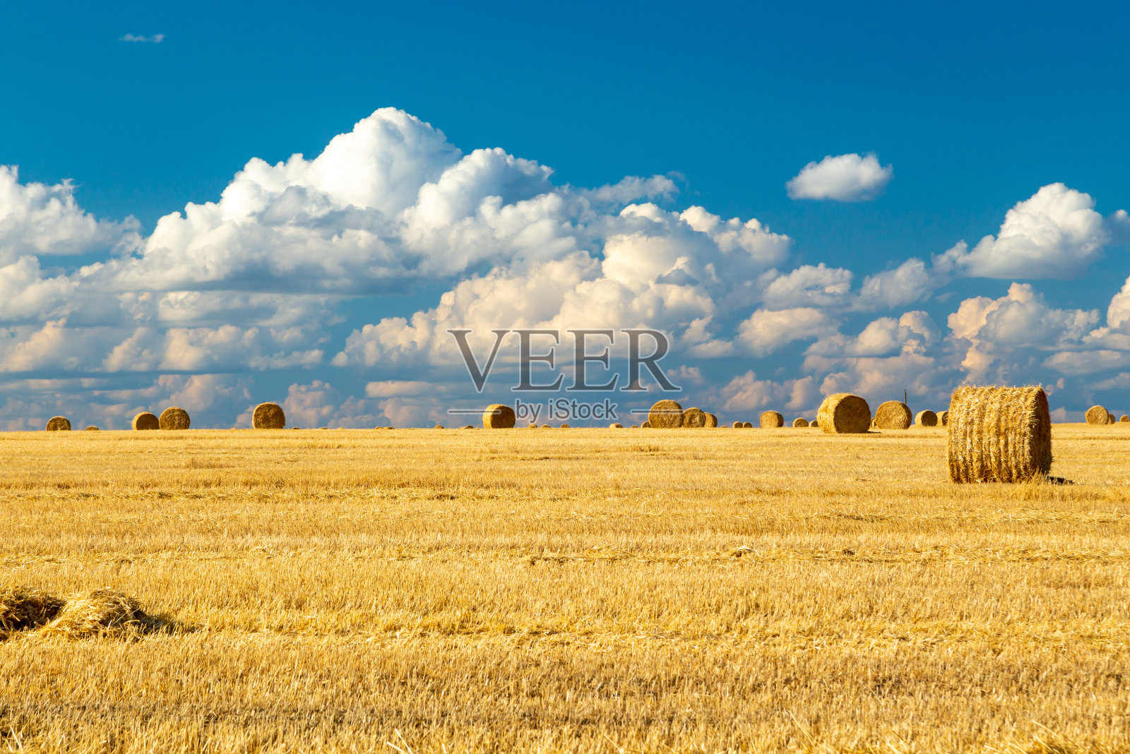 稻草包的背景与复制空间。农田里有许多捆稻草。正宗农场系列照片摄影图片