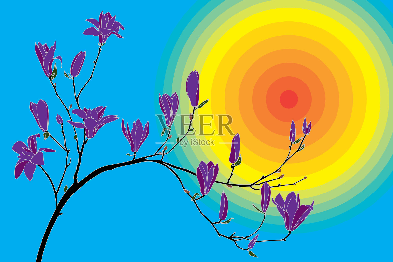 马鞭草碟子的插图木兰花盛开的分支与圆形梯度黄色到蓝色的背景。插画图片素材