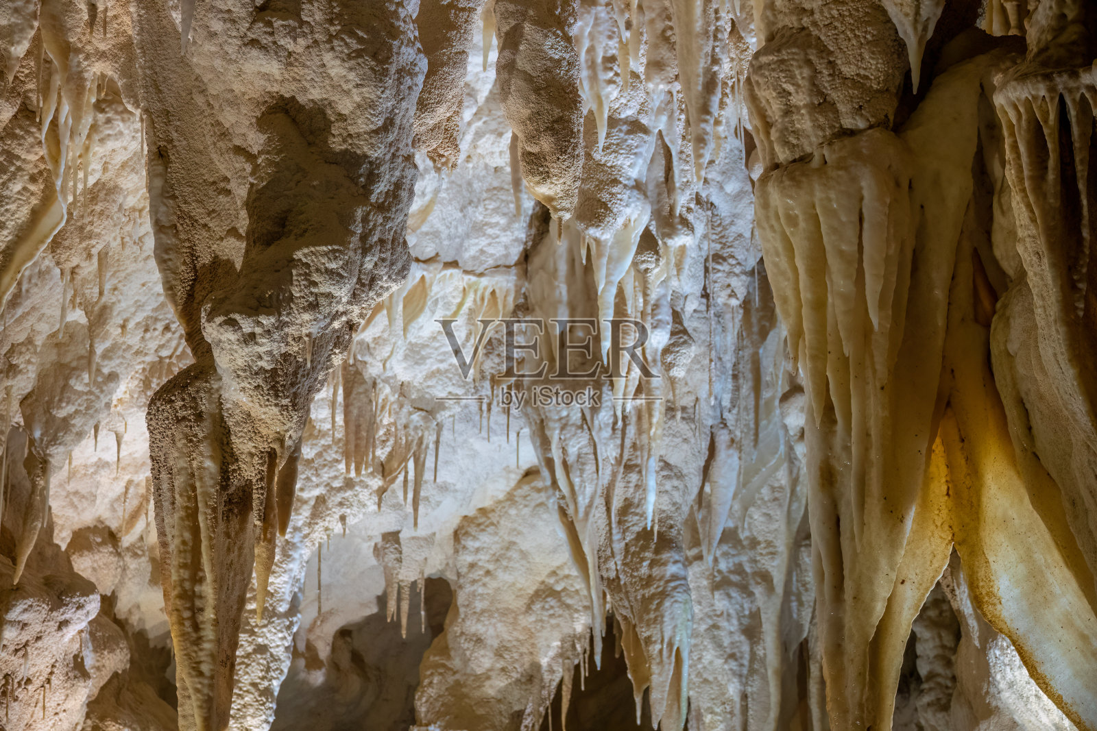 怀托摩河的洞穴系统,包括Ruakuri洞穴、Lucky Strike洞穴和Tumutumu洞穴。新西兰北岛照片摄影图片