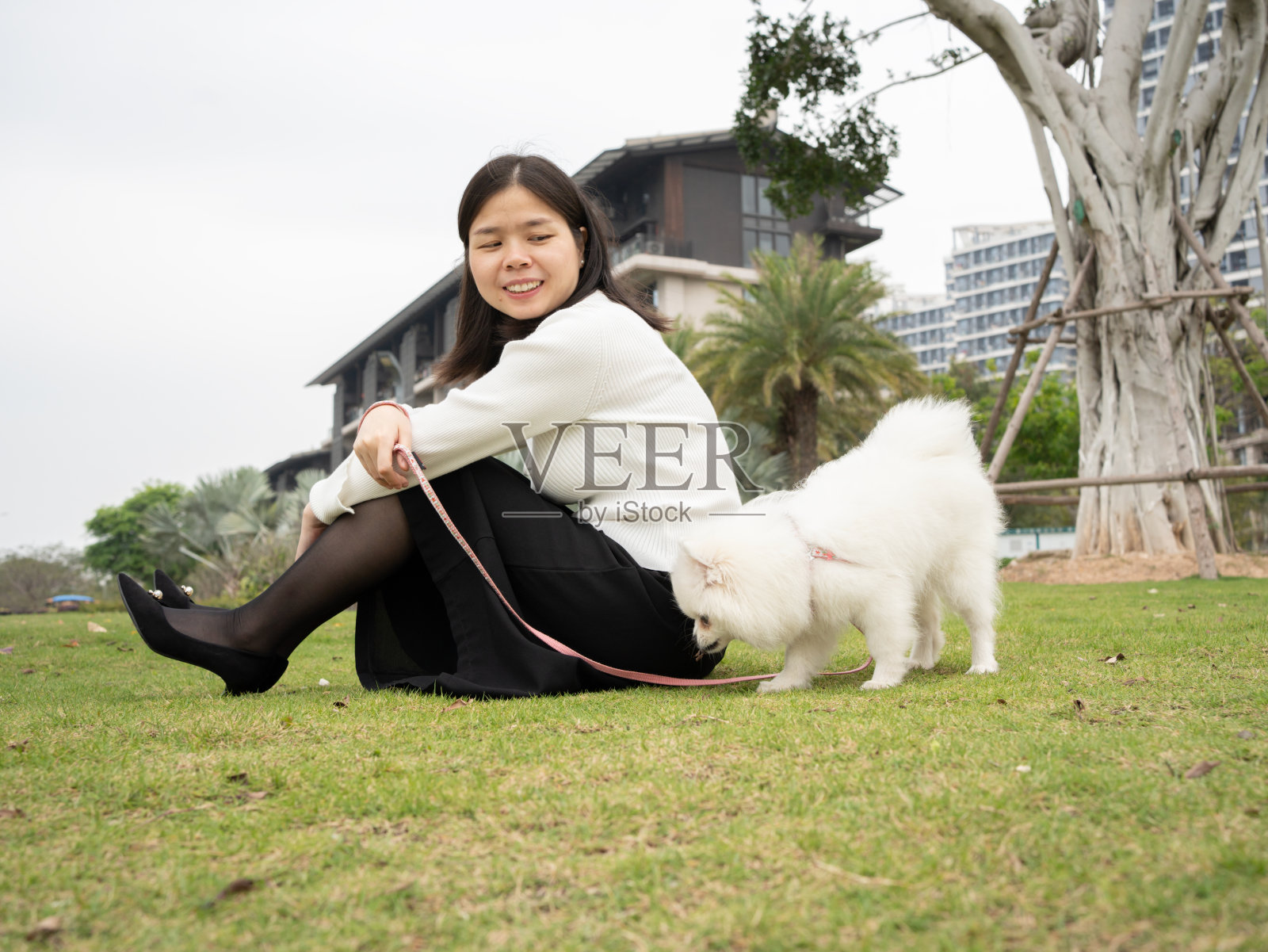 伴随着可爱的宠物,让人会心一笑照片摄影图片