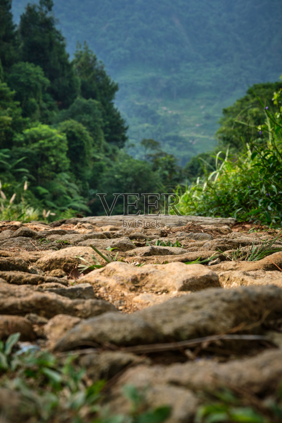 石路景区景观照片摄影图片