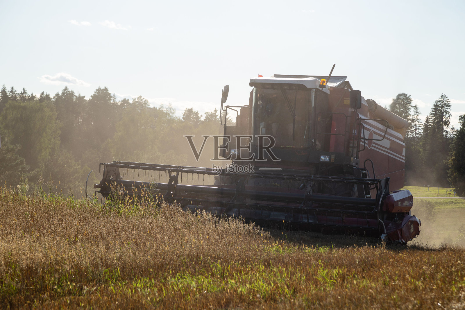 用联合收割机收割照片摄影图片