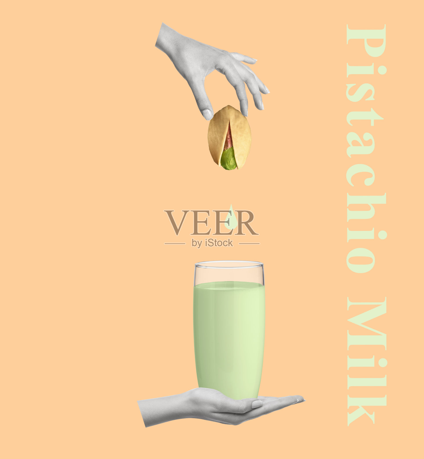 用开心果手工制作牛奶的创意艺术拼贴画。照片摄影图片