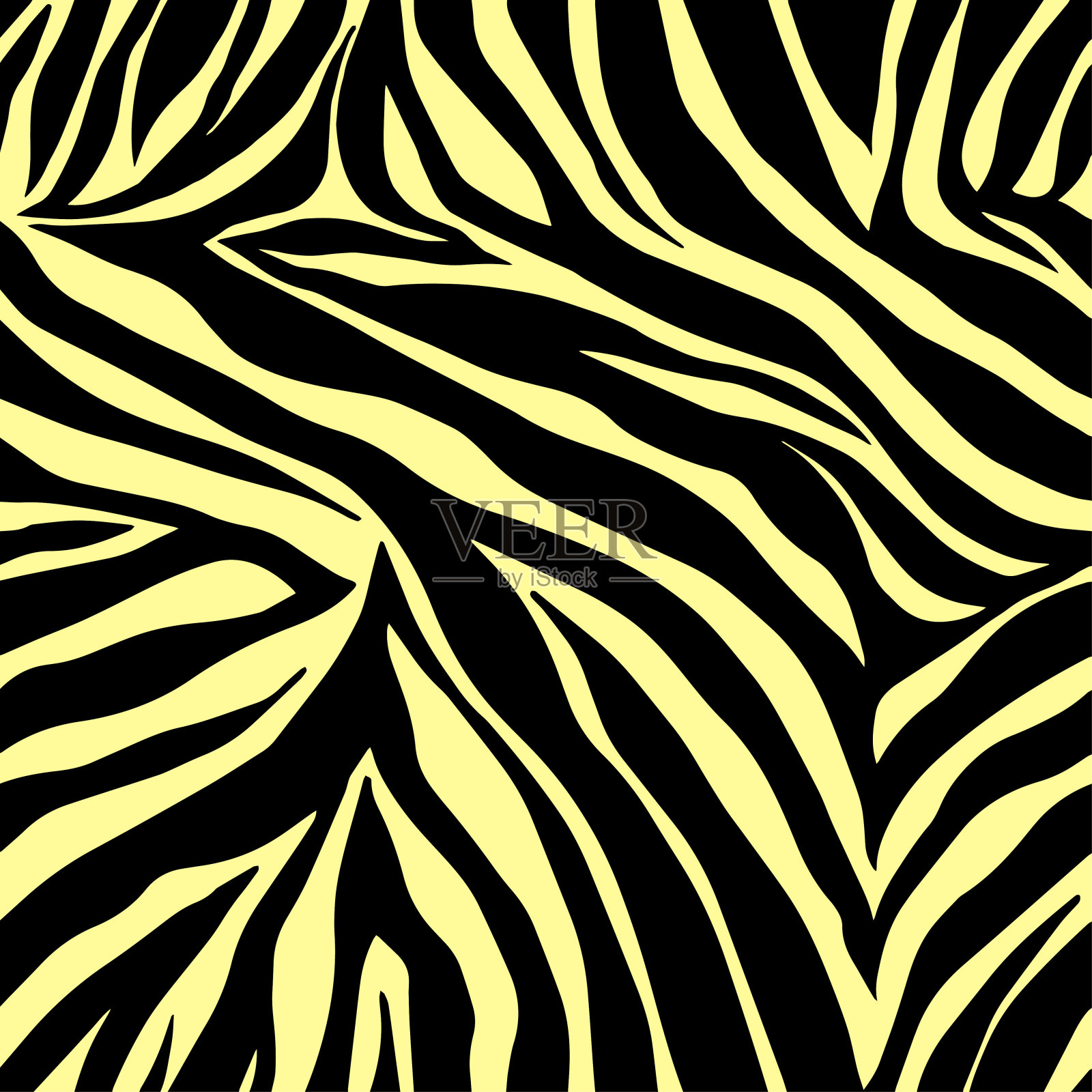 Zebra_280423插画图片素材