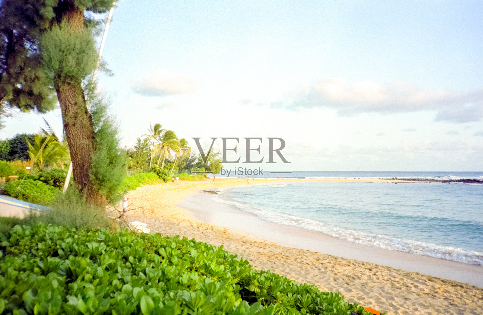 毛伊岛海滩照片摄影图片