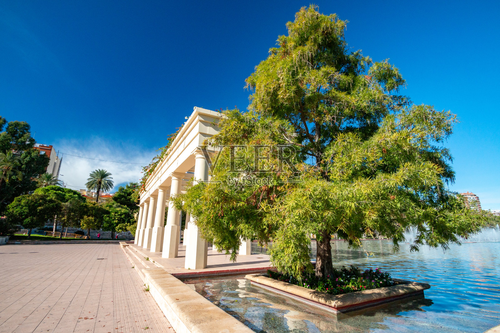 西班牙巴伦西亚图里亚花园的音乐宫喷泉照片摄影图片