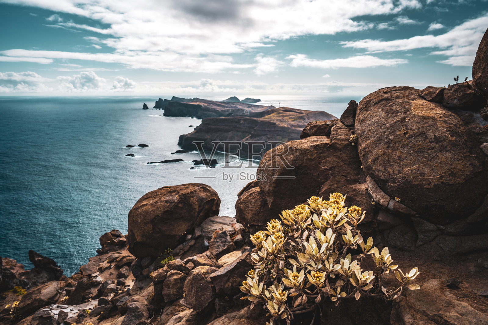 从陡峭的岩石悬崖俯瞰大海,大自然和马德拉海岸崎岖的山麓。Ponta do Bode,马德拉岛,葡萄牙,欧洲。照片摄影图片