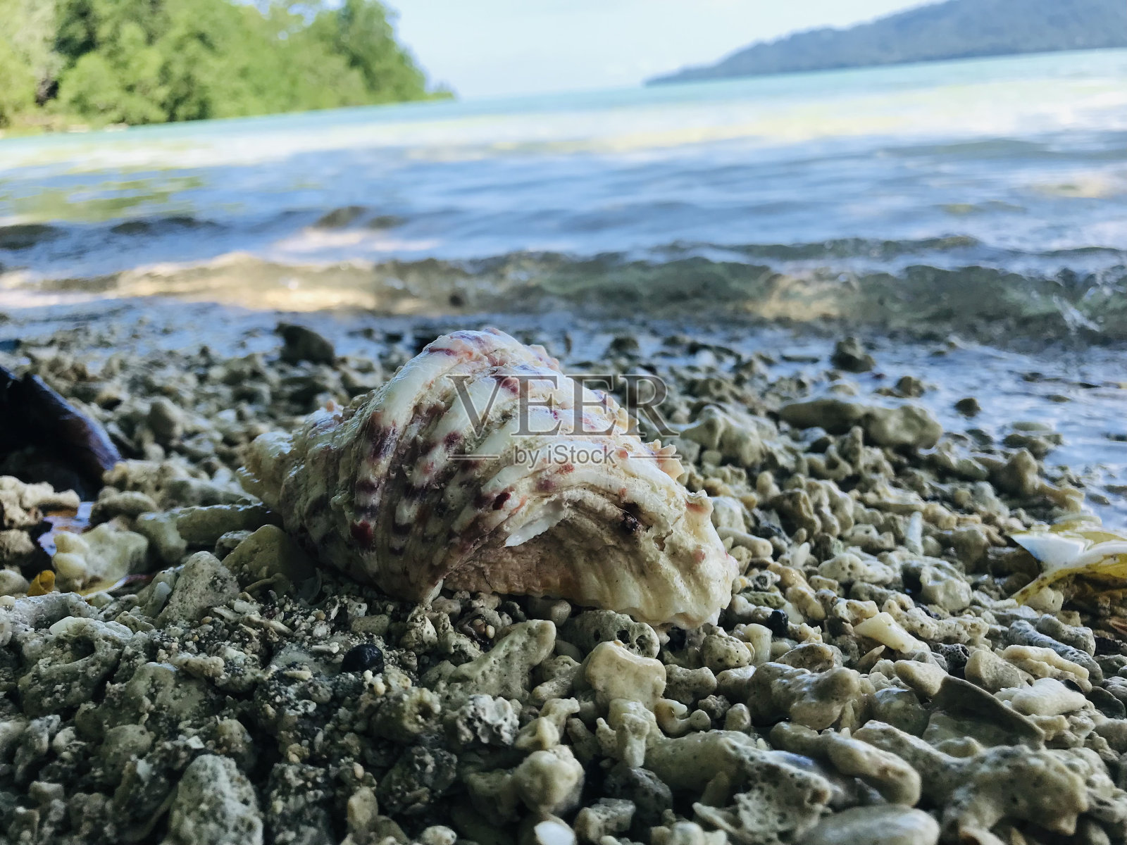 在海滩上找到了一个很好的翻盖照片摄影图片
