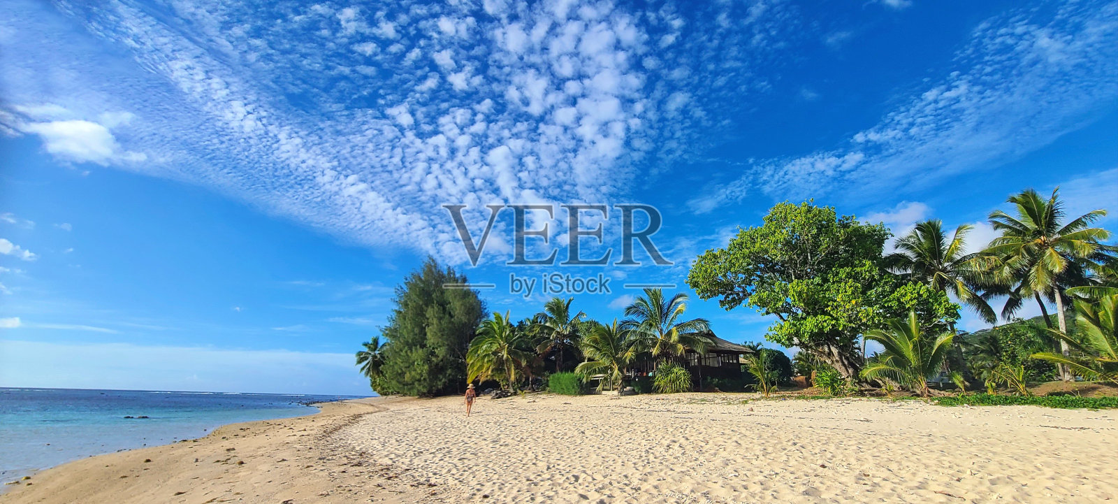 令人惊叹的沙滩景观和郁郁葱葱的热带棕榈树。照片摄影图片