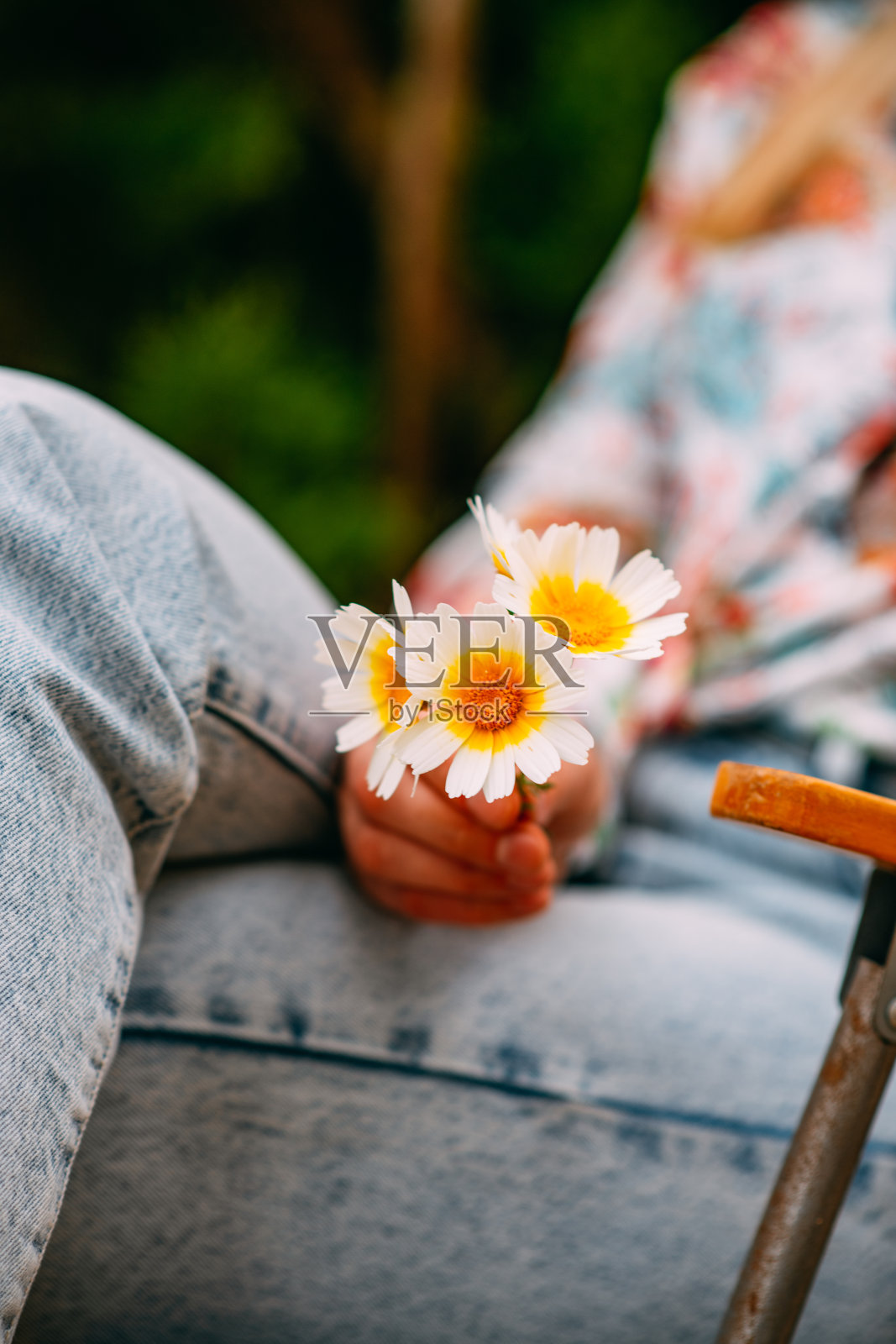 抱着雏菊的女人照片摄影图片